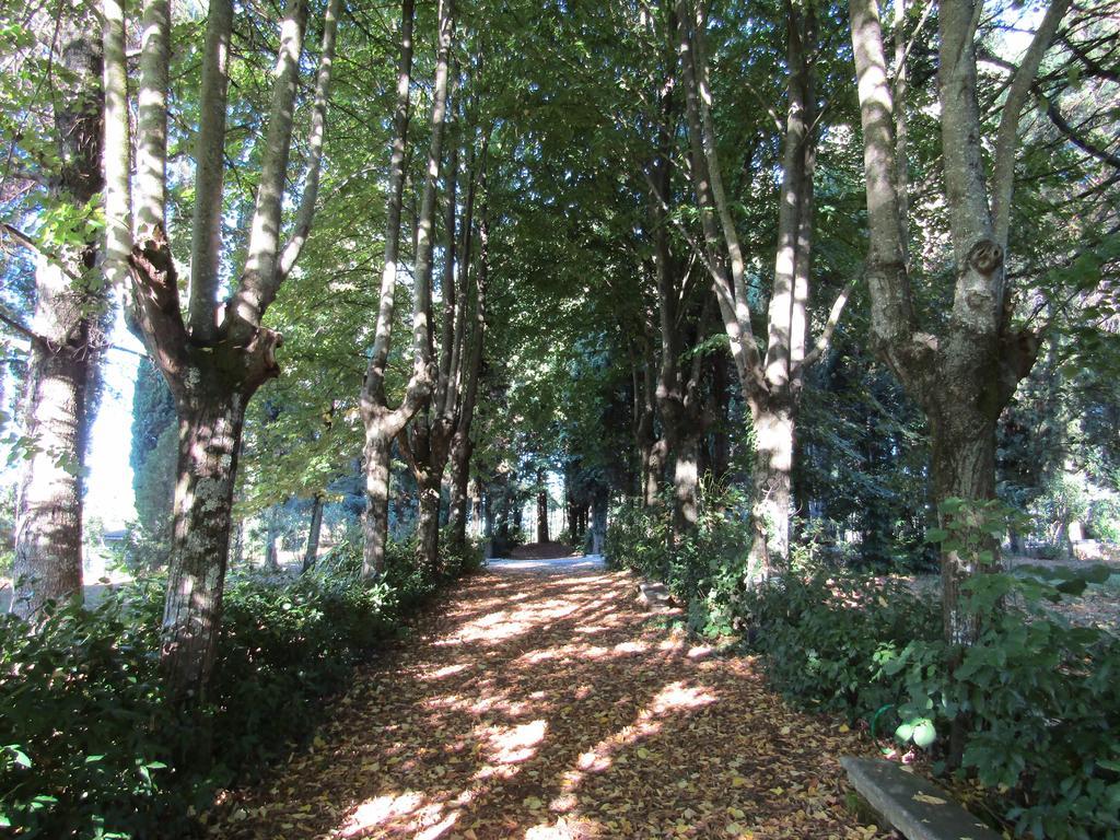 Monastero San Vincenzo - Casa Per Ferie Hotel Bassano Romano Kültér fotó