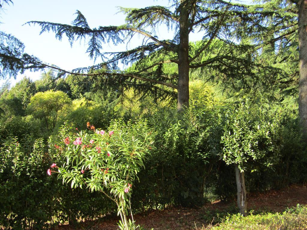 Monastero San Vincenzo - Casa Per Ferie Hotel Bassano Romano Kültér fotó